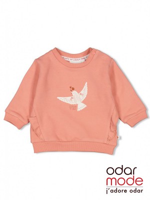 Baby Meisjes Sweater - 51602171 - Feetje