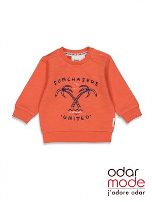 Sweater Baby Jongen - 51602069 - Feetje
