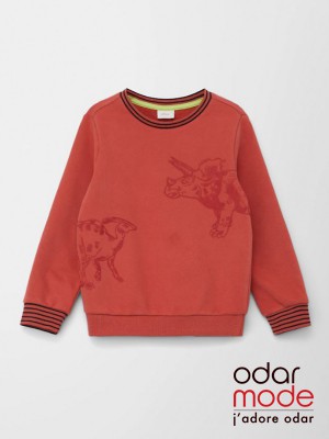 Sweater Jongen - 2127333 - S.oliver